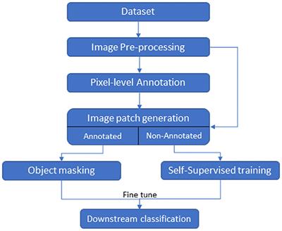 An AI-based approach for detecting cells and microbial byproducts in low volume scanning electron microscope images of biofilms